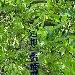灵异小说推荐 （芳烃）