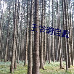 王爷请自重