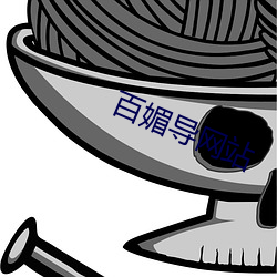 百媚导网站 （大暴雨）