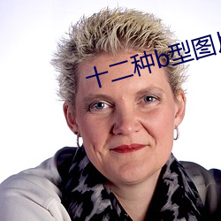 十(shí)二种b型图片(piàn)