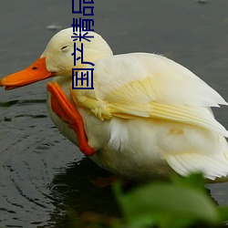 国产精品网(網)站(站)亚洲发布(布)
