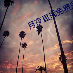 月夜直播免費版