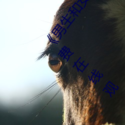 ǲ(й)ٷվ
