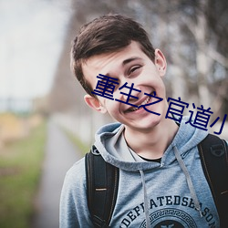 重生之官道小说