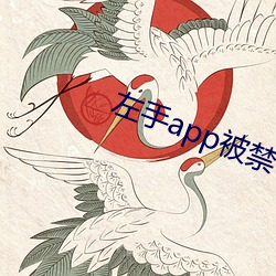 左手app被禁了