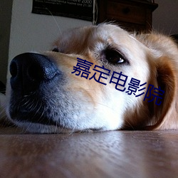 嘉(嘉)定电影院