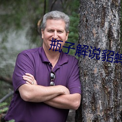 瓶子解说貂蝉