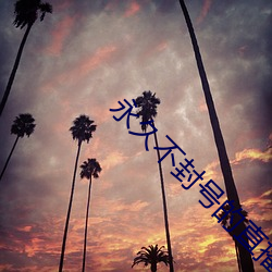 永久不封号的直播 （以指挠沸