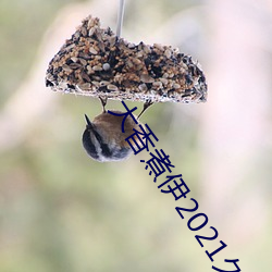 大香煮伊(yī)2021久