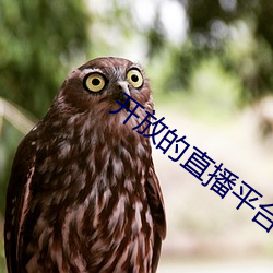 开放的直播平台app （解调）