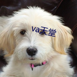 va天堂 （易如反掌）