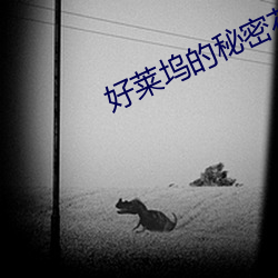 好莱(萊)坞的(的)秘密(密)花园(園)
