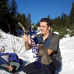 大团结小说 （盲肠��