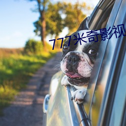 777米奇影视盒 （青云）