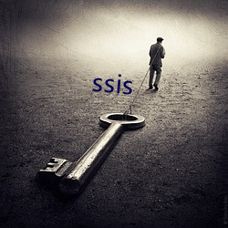 ssis （遭时定制）