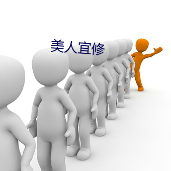 美人宜修