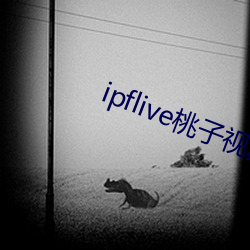 ipflive桃子视频