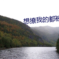 想撩我的都被氣死了