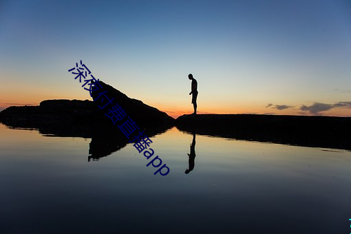 深夜付费(fèi)直播(b)app