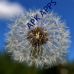 APK APPS