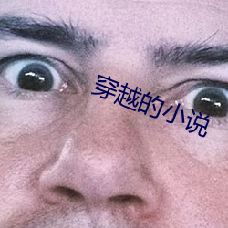 穿越的小(小)说