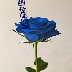 桃源神医