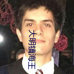 大明镇海王