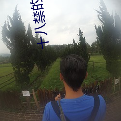 十八禁的软件