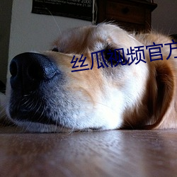丝瓜视频官方下(xià)载