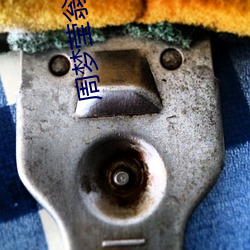 周夢瑩翁
