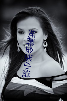 纸醉金迷小(小)说