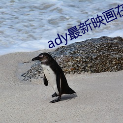 ady最新(xīn)映画在线(xiàn)观看