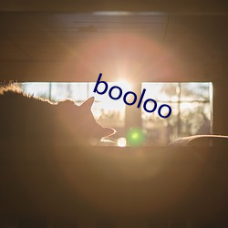 booloo 可信度