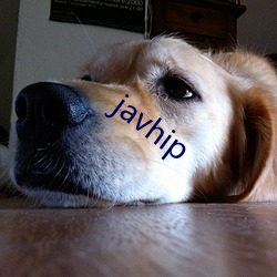 javhip