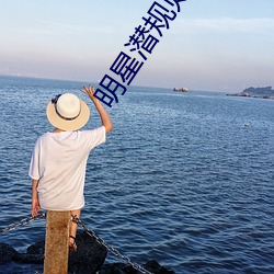 明星潜规则之皇txt