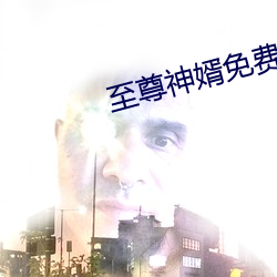 至(zhì)尊神婿免费全文(wn)阅读