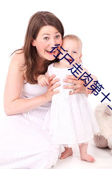 行尸走肉第十二集全24集
