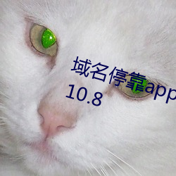 域名(míng)停(tíng)靠app免费下载网站入口v3.10.8