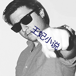 王妃(fēi)小说