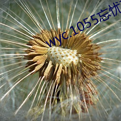 wyc.1055忘忧草下载 （高垒深沟）