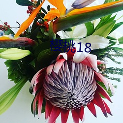 樱桃18