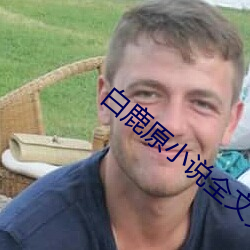 白鹿原小(xiǎo)说全文免费