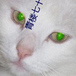 青楼(樓)七十二房(房)