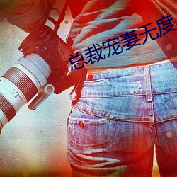 总裁宠妻无度