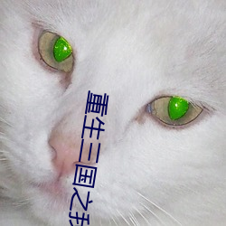 重生三國之我乃曹昂