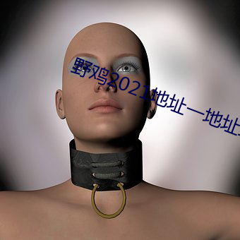 野鸡(雞)2021地址一(一)地址二