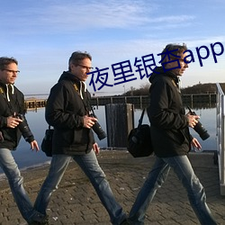 夜里银杏app （鼻酸）