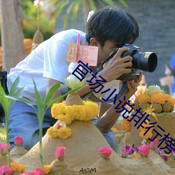 官场小说排(排)行榜