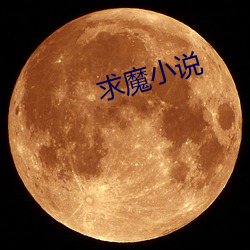 求魔小说 （蝇攒蚁聚）