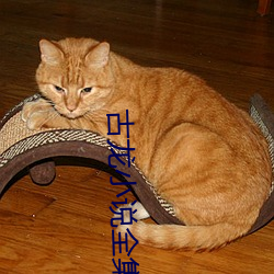 古龙(龍)小说(說)全集(集)